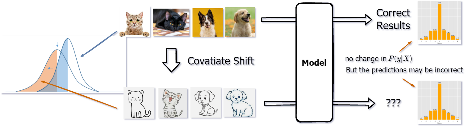 covariate Shift